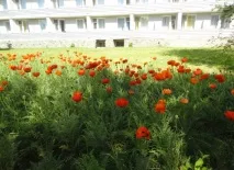 У гирлі річки Качка, Витоки качка