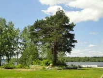 У гирлі річки Качка, Витоки річки