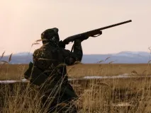 Чарівна пружина вона