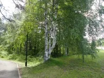 У гирлі річки Качка, Витоки качка