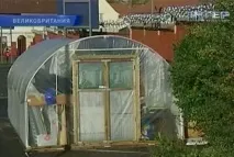 У Великій Британії вчаться вирощувати овочі за допомогою риби вчаться