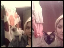 За що ми любимо котів мене