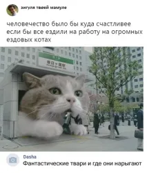 Коен