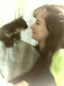 За що ми любимо котів котів