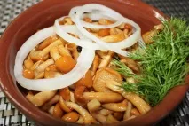 Закуски з маринованими грибами рецепти закусок з грибами грибами