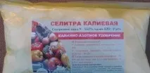 томатів