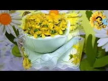 Звіробій (фільм) фільм