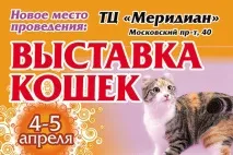 10 подій тижня Фестиваль саксофону, гастрономічні вечори та виставка кішок, Моє місто фестиваль
