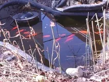 Аерація води в ставку пристрій особливості пристрій