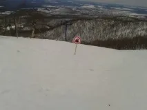 гірськолижний