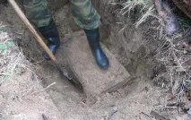 виявили