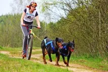 Animal-фітнес білоруска про те, як полюбила спорт та знайшла чоловіка завдяки собаці спорт