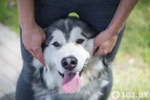 Animal-фітнес білоруска про те, як полюбила спорт та знайшла чоловіка завдяки собаці білоруска