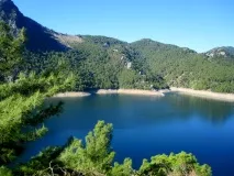 селевкія