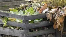Компост. Як боротися із запахом від відходів у компості? запахом