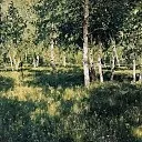 Кульбаби. 1889 Ісаак Ілліч Левітан (1860-1900) 1889