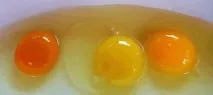 Бісквіт на окропі рецепт з покроковими фото окропі