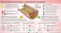 Що таке тригліцериди в біохімічному аналізі крові яка норма, підвищені тригліцериди