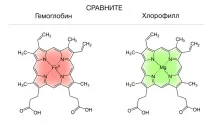 Цифран при циститі як приймати - Інфо циститі