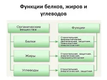 Що таке тригліцериди в біохімічному аналізі крові яка норма, підвищені біохімічному