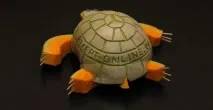 овочів