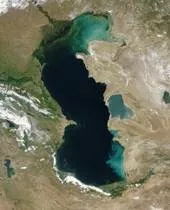 Екологічний стан морів України - Екологія морів