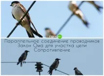 Елементарна фізика у живій природі зрозуміє навіть ясельна група зрозуміє