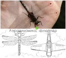 Елементарна фізика у живій природі зрозуміє навіть ясельна група фізика