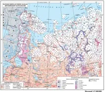 Етнічний склад населення башкир