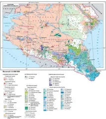 Етнічний склад населення татар