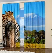 Фотоштори Леопард блекауту
