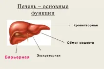 медицински