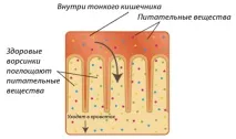 може