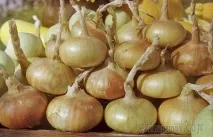 Горе цибулеве цибулеве