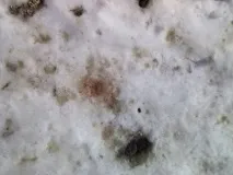 Історія Робінзона з сумним кінцем кінцем