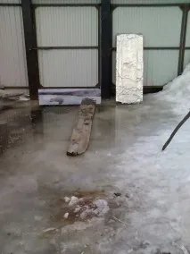 Історія Робінзона з сумним кінцем історія
