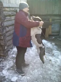 Історія Робінзона з сумним кінцем сумним