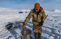 Як ловлять крабів на Чукотці (33 фото) крабів