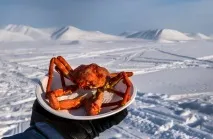 Як ловлять крабів на Чукотці (33 фото) ловлять