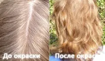 Як пофарбувати волосся безбарвною хною в пшеничний блонд хною