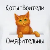 Класична футболка Футболка з Вогнезірком (Коти-Воїни) вогнезірком