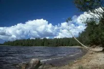 кавголово