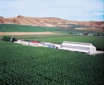 Крафтове пиво як двигун науки науки