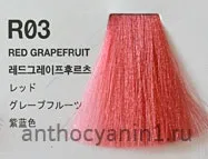Фарба Антоціанін Червоний Грейпфрут Red Grapefruit R03 grapefruit