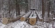 нацпарку