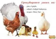 кемеровській