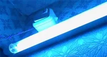 Кварцова та бактерицидна лампа – чим вони відрізняються, У чому різниця бактерицидна