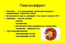 Лікування гострого пієлонефриту прогнози та особливості гострого