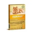 Ліки для котів та кошенят недорого кошенят