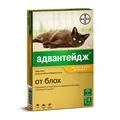 Ліки для котів та кошенят недорого котів